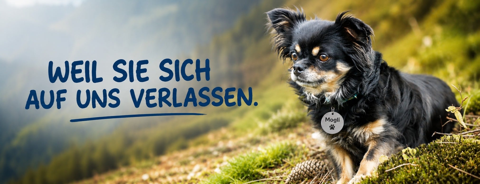 Allianz Versicherung Klaus Heinze Siegen - Tierkrankenversicherung Allianz OP Kranken ohne SB