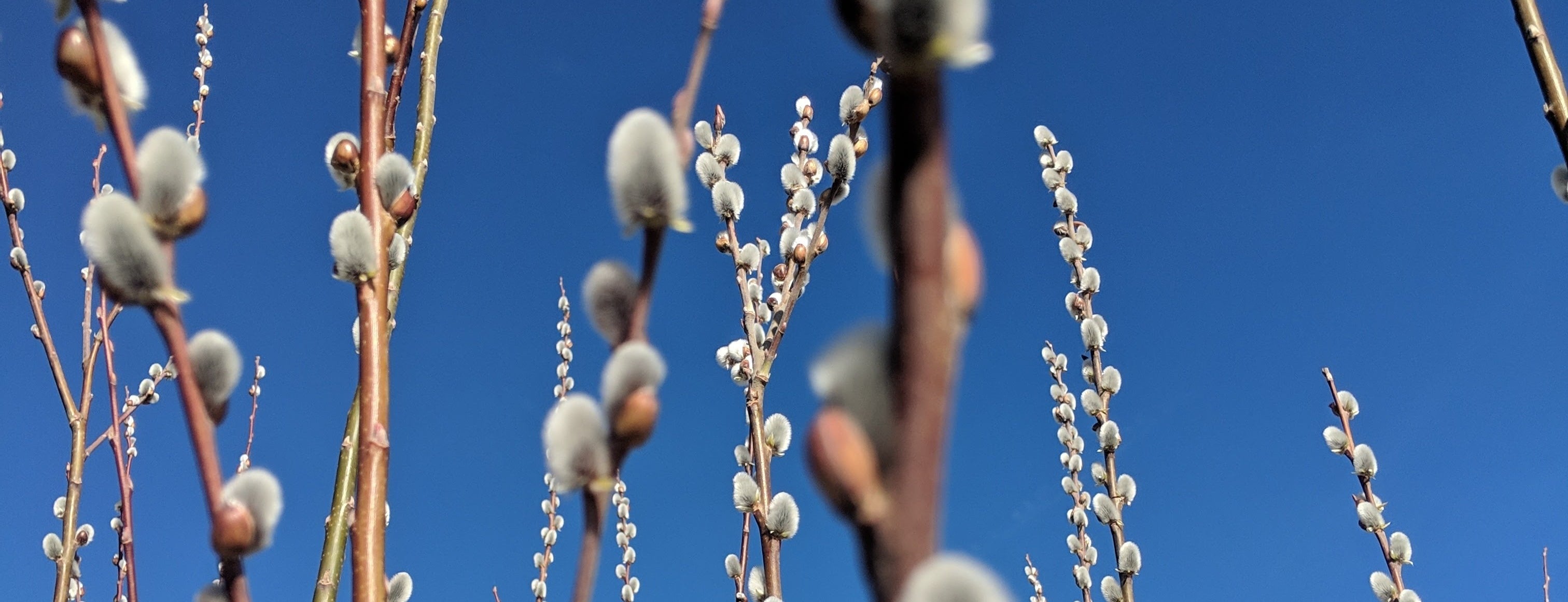 Allianz Versicherung Markus W. Schroll Nürtingen - Zahnversicherung Tierversicherung Auto 