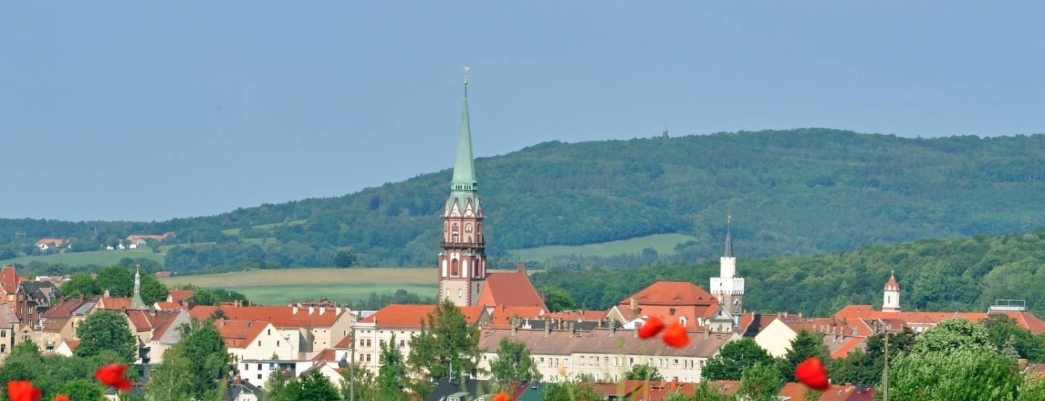 Allianz Versicherung Marcel Paul Löbau - Allianz Marcel Paul Moped Titelbild