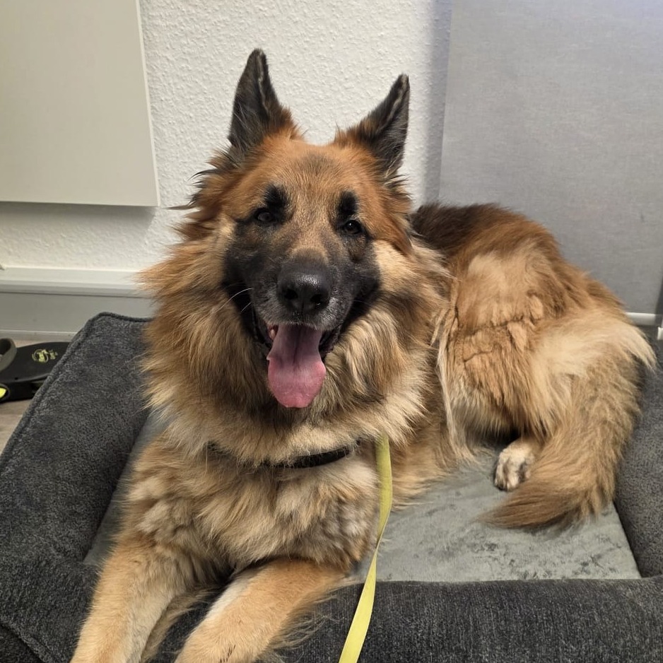 Allianz Versicherung Marco Billino Dachau - Allianz Versicherung Dachau Schönwetter Billino