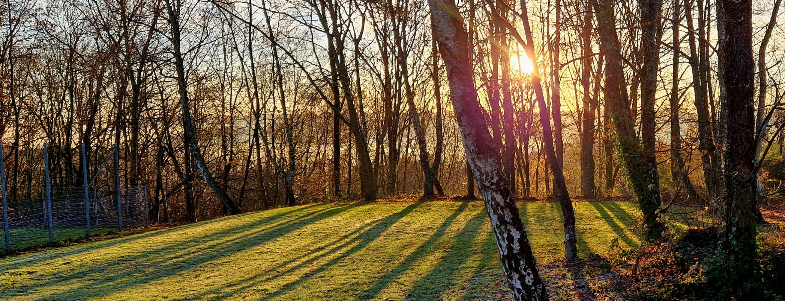 Allianz Versicherung Marcus Apreck Rodalben - Sommerwald Pirmasens 2025