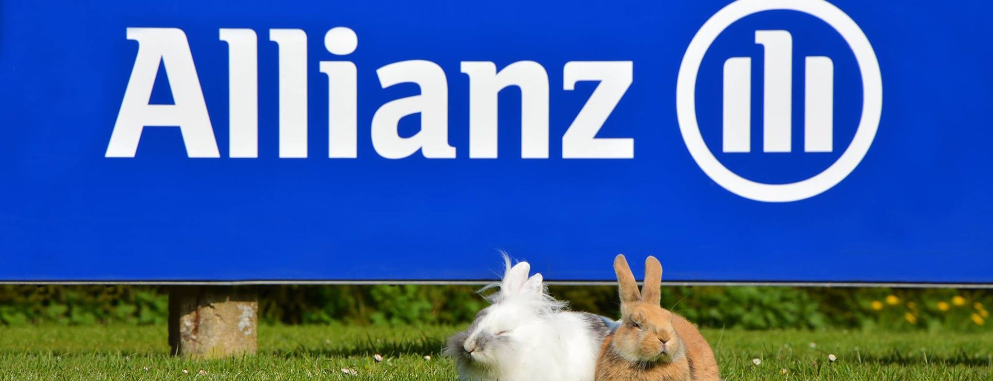 Allianz Versicherung Scheer und Bleisch e.K. Inh. Marcus Rübner Erlangen - Titelbild