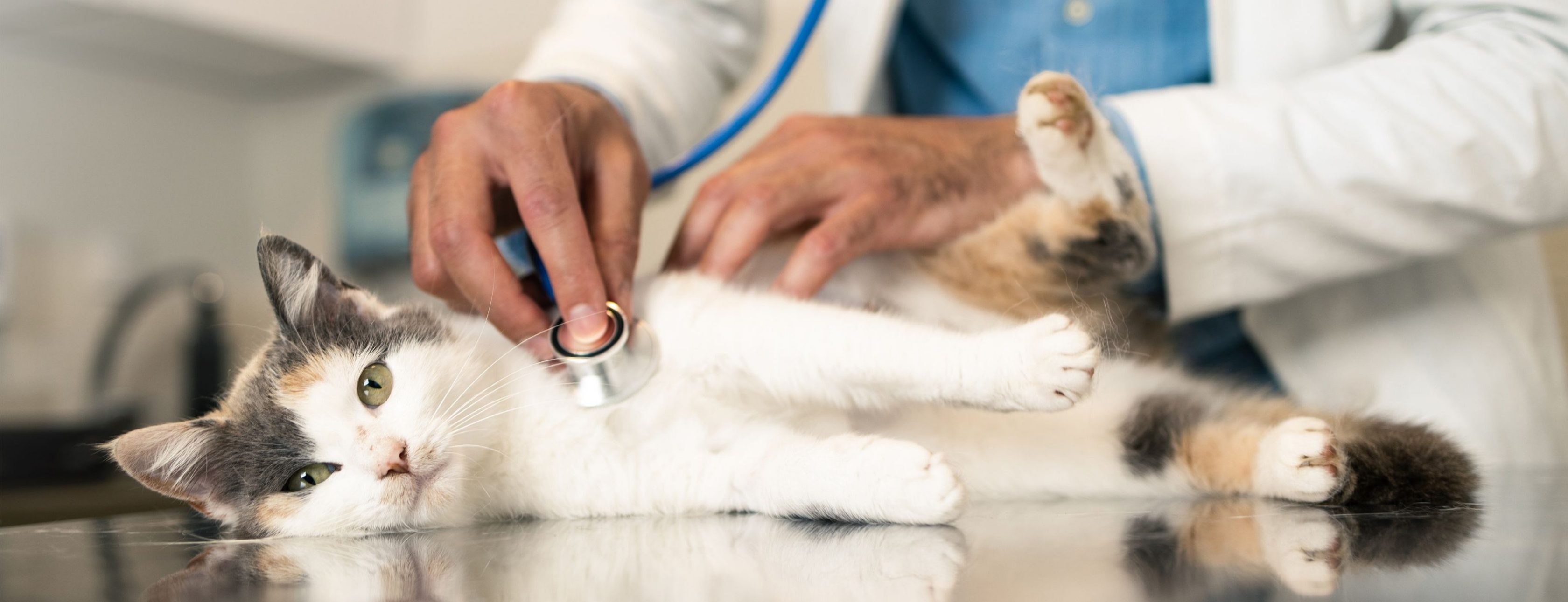 Allianz Versicherung Mario Elschner Ansbach - Allianz Haftpflichtversicherung