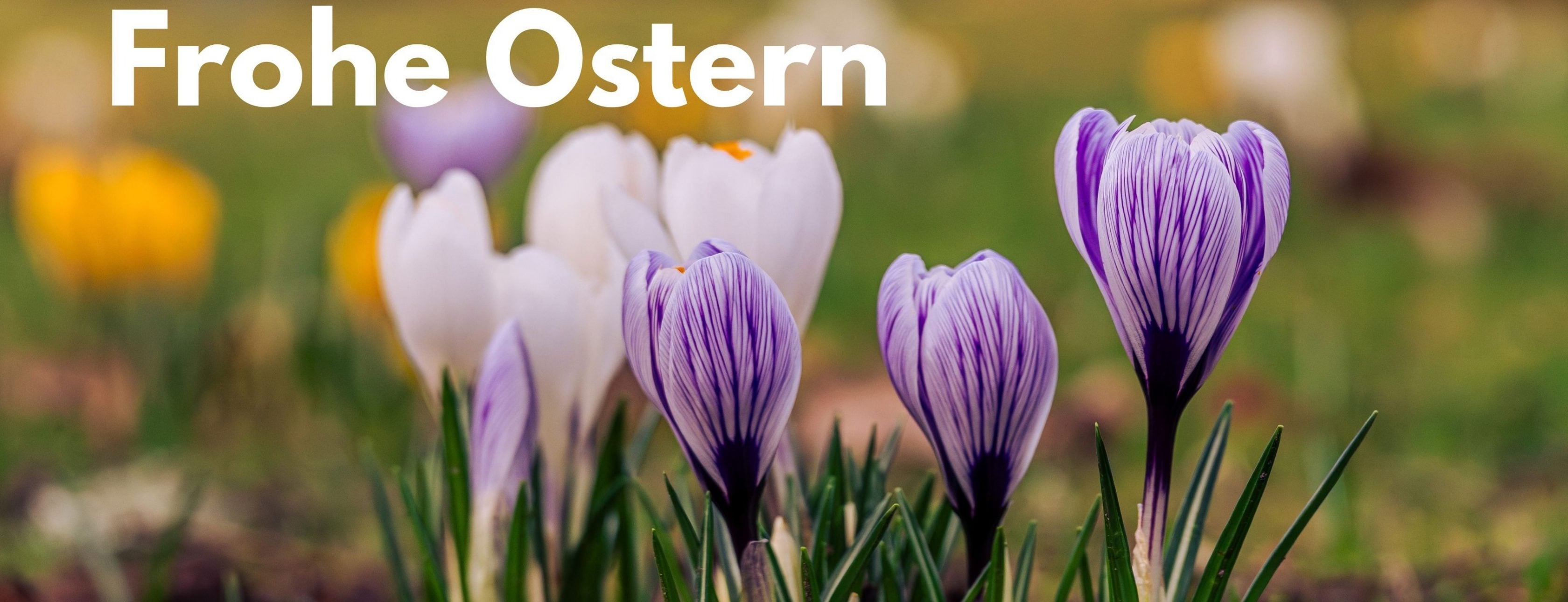 Allianz Versicherung Mario Elschner Ansbach - Allianz Frohe Ostern 2026