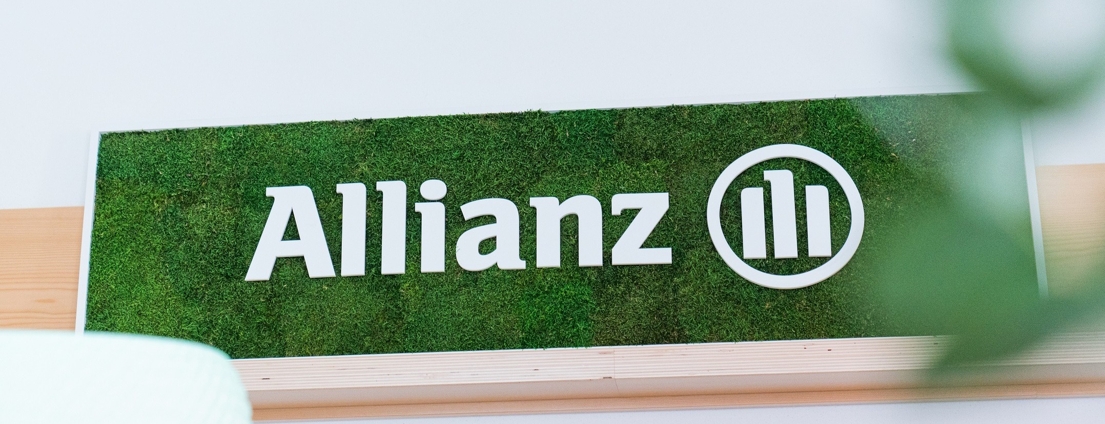 Allianz Versicherung Mario Tanzer Waldkirchen - Titelbild