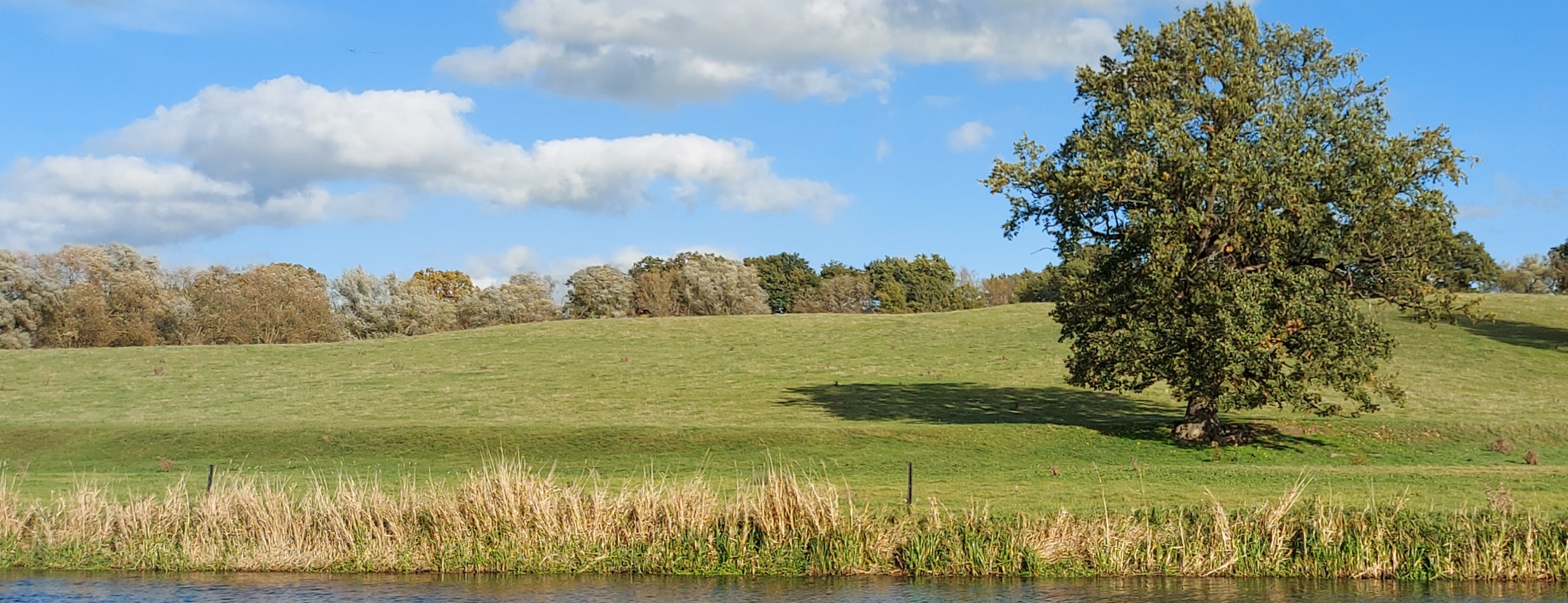 Allianz Versicherung Mark Wittbold Anklam - Versicherung und Vorsorge in Anklam und Usedom