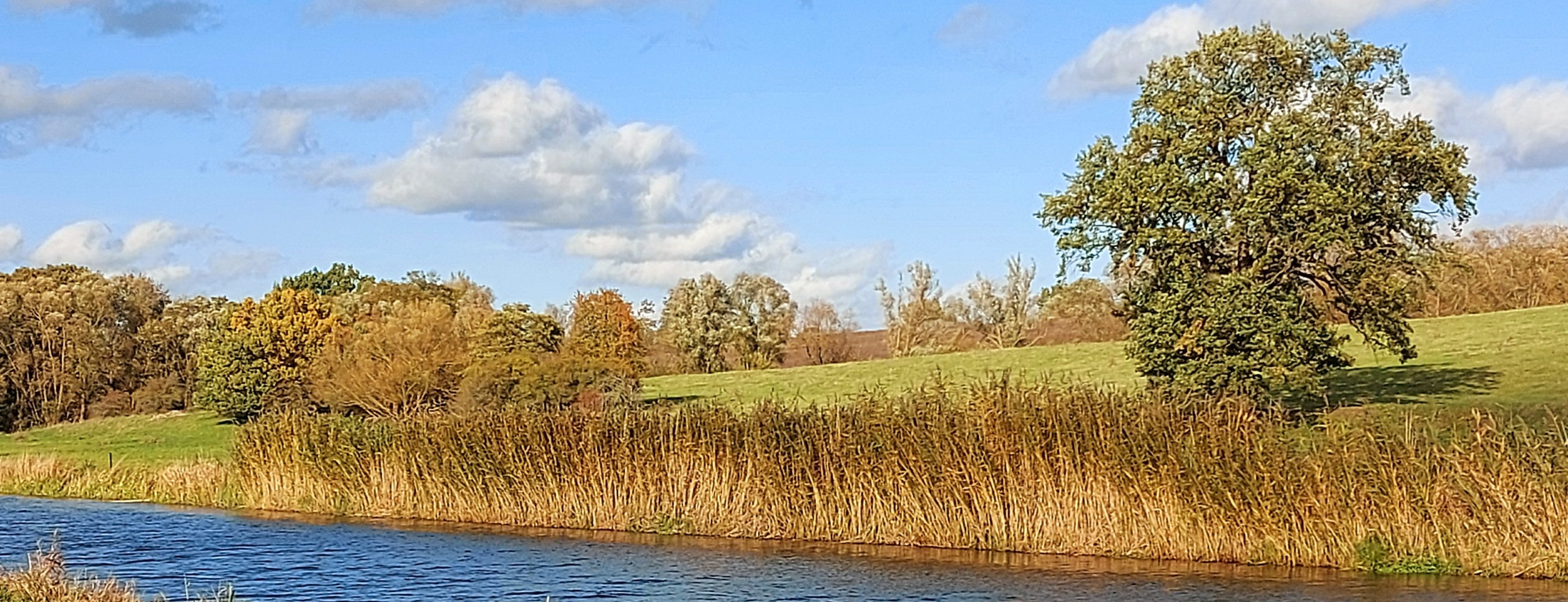 Allianz Versicherung Mark Wittbold Anklam - Persönliche Beratung in Anklam & Usedom – Allianz