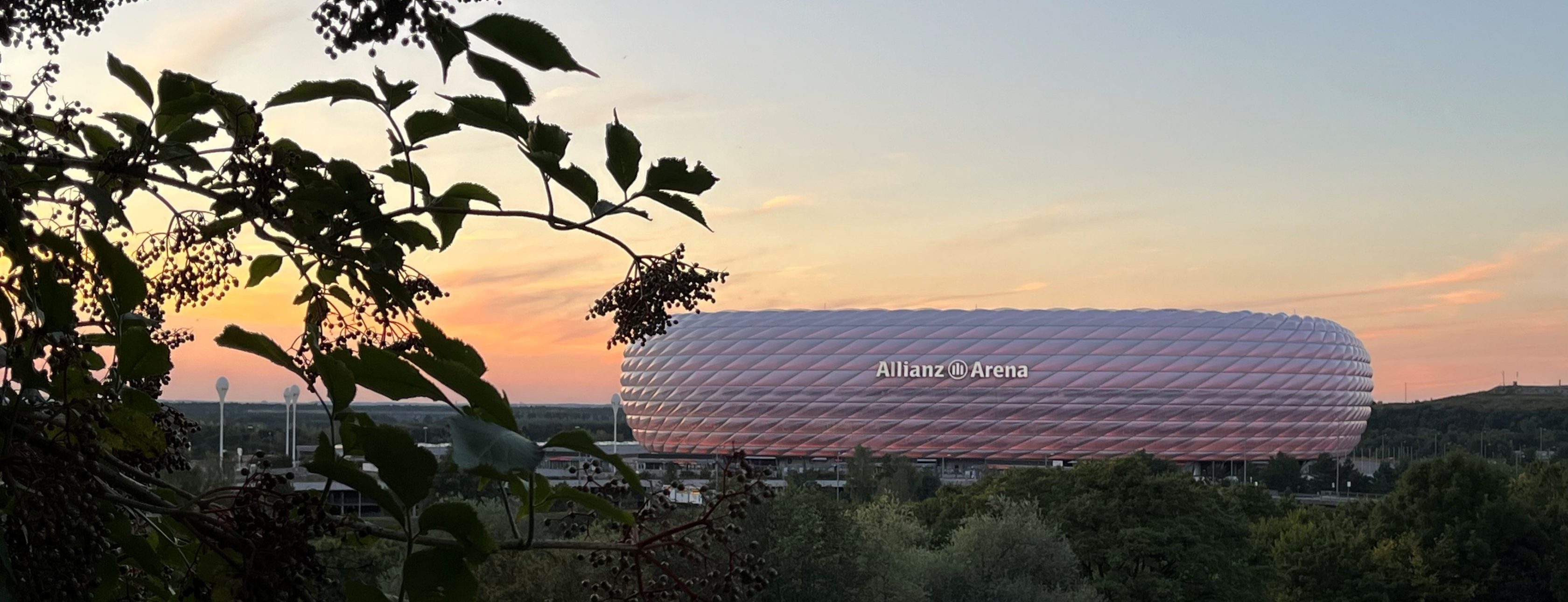 Allianz Versicherung Markus Förster München - Weihnachten 