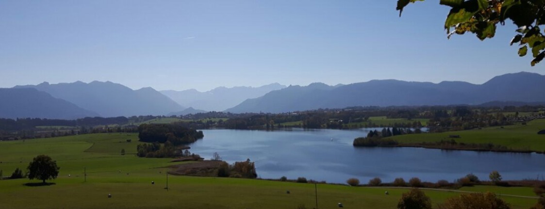 Allianz Versicherung Martin Biedermann Murnau am Staffelsee - Allianz Biedermann