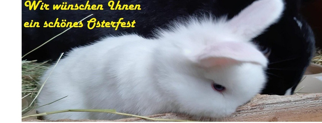 Allianz Versicherung Matthias Carstens Zwickau - Meine Allianz Enddatum 31.12.2025