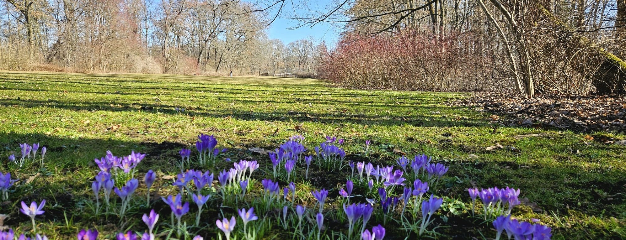 Allianz Versicherung Matthias Krause Werdau - Pflege unfall