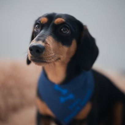 Allianz Versicherung Maximilian Solbach Eschborn - Tilda Solbach