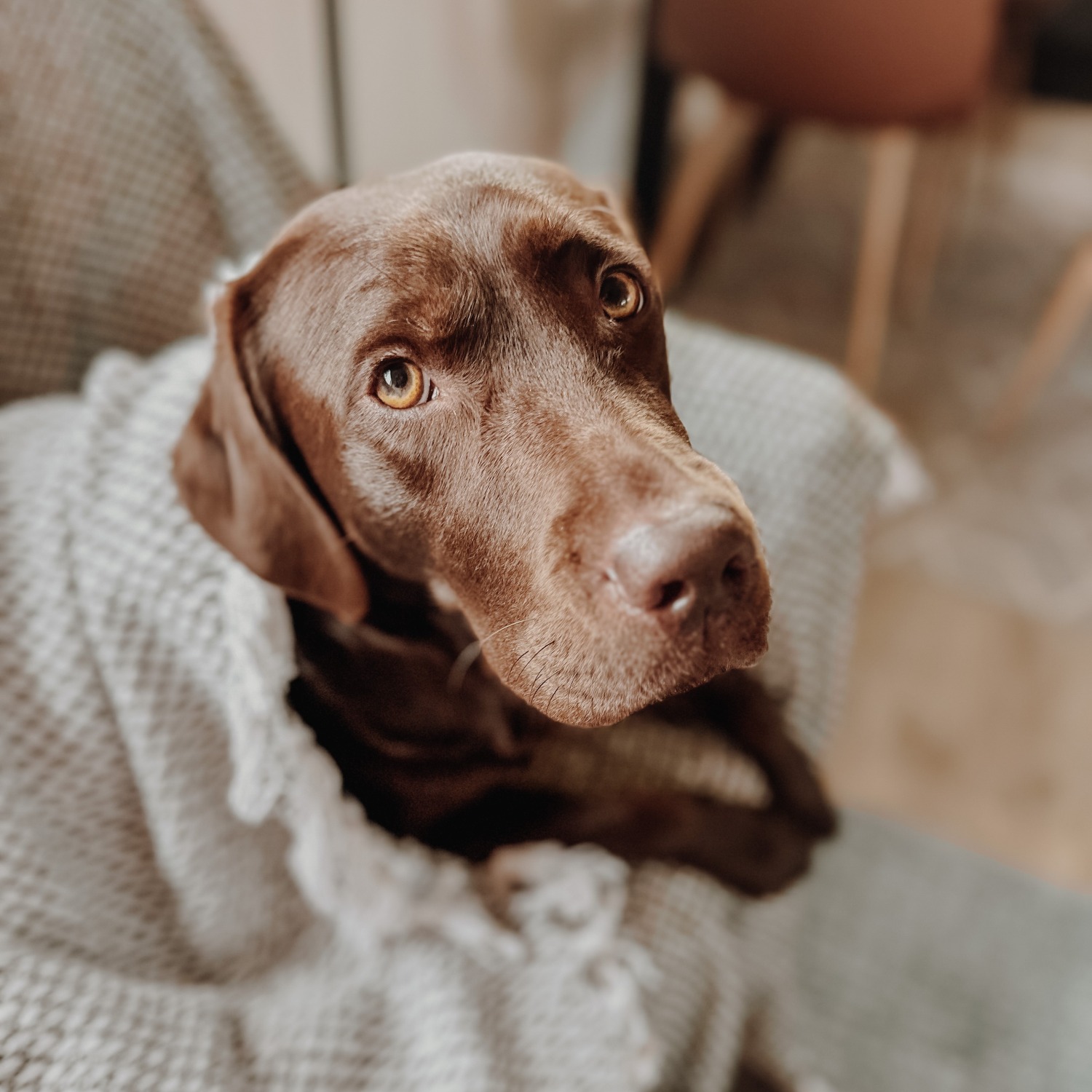 Allianz Versicherung Mehlert OHG Hamburg - x