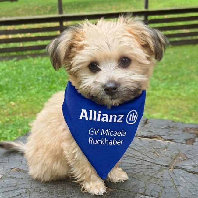 Allianz Ruckhaber Regis-Breitingen Allianz Versicherung Micaela Ruckhaber Regis-Breitingen - Allianz Ruckhaber Regis-Breitingen