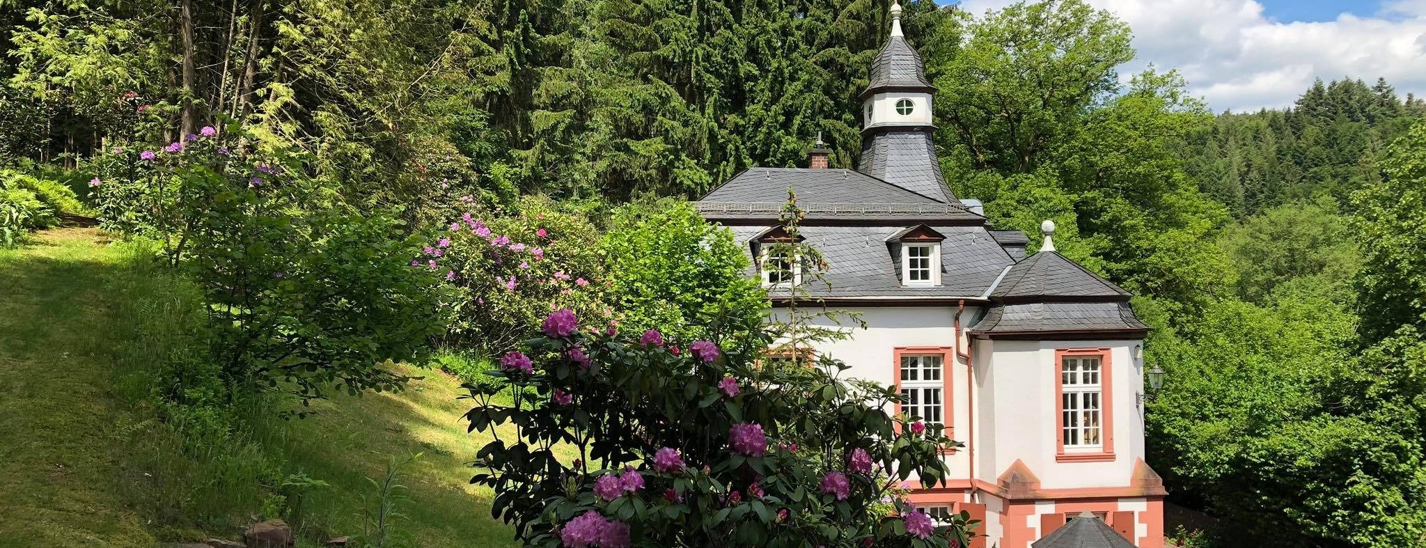 Allianz Versicherung Michael Galinski Oberzent - Titelbild Sommer