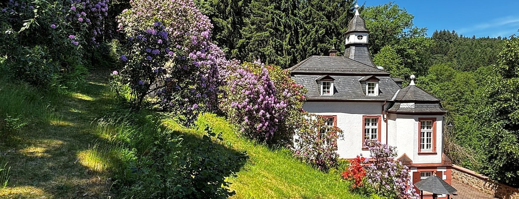 Allianz Versicherung Michael Galinski Oberzent - Titelbild Sommer