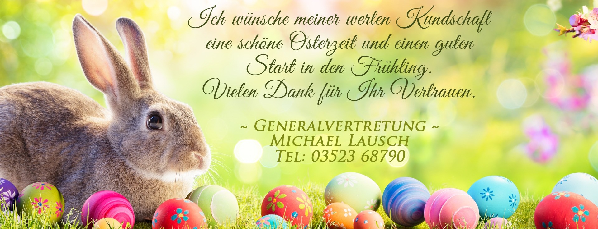 Allianz Versicherung Michael Lausch Coswig - Titelbild