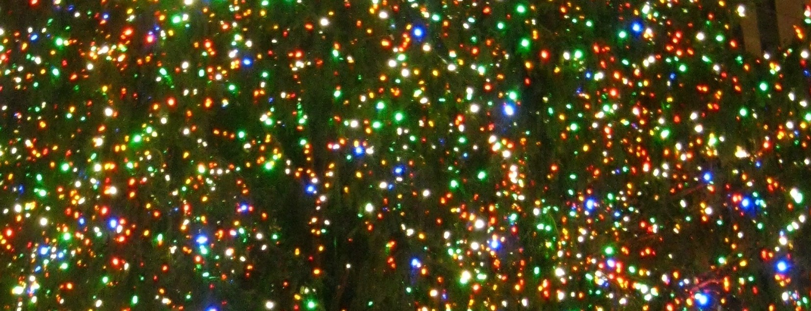 Allianz Versicherung Natalie Haydn Waltrop - Titelbild