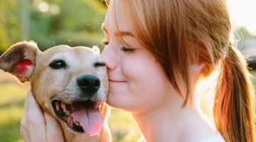 Allianz Versicherung Nico Gräfe Edingen-Neckarhausen - Die Extra-Absicherung für Hundehalter