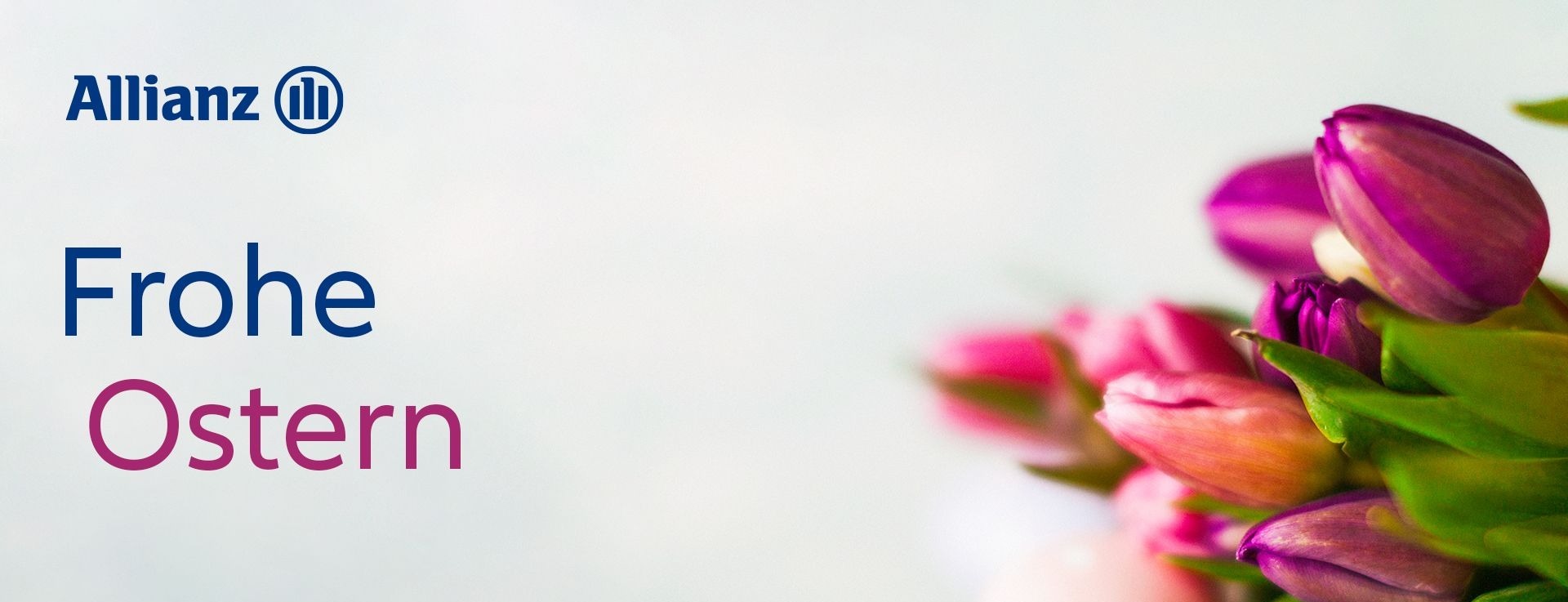 Allianz Versicherung Nico Schönle Müllheim - Allianz Müllheim Schönle Vorsorge Haftpflicht 