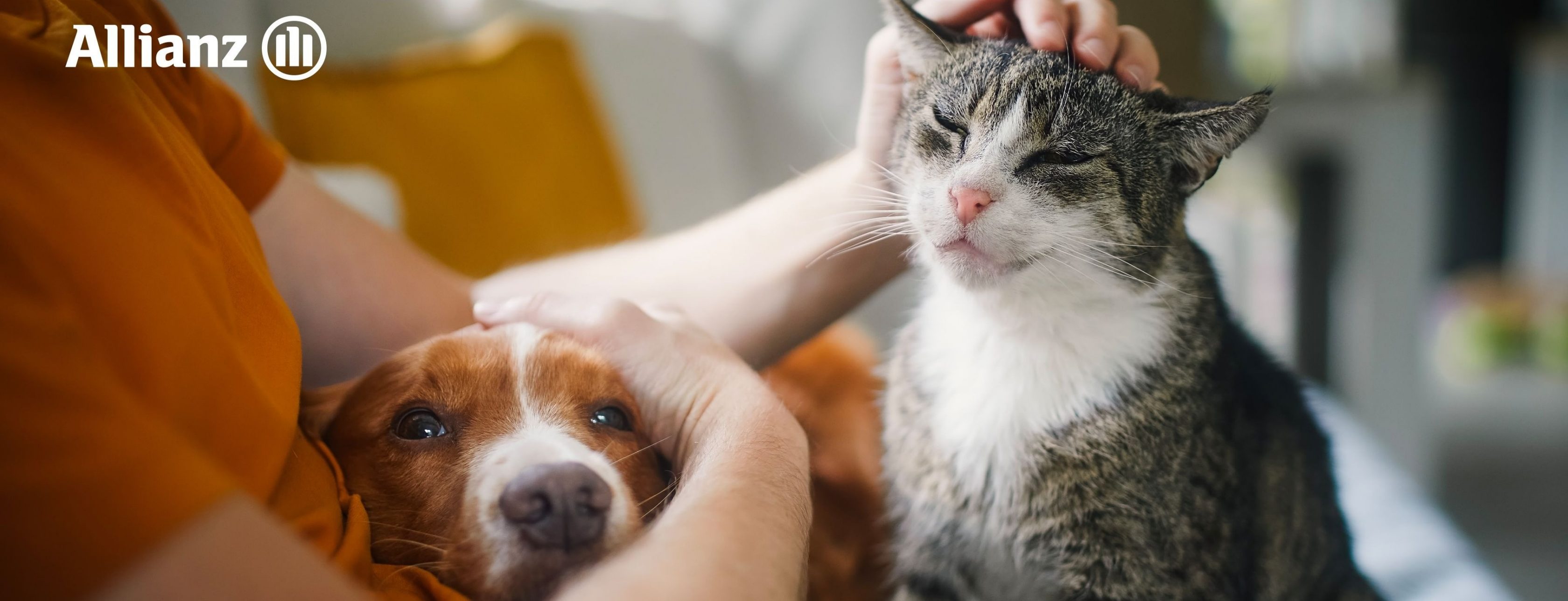 Allianz Versicherung Nicolas Gerbl Bad Sooden-Allendorf - Titelbild