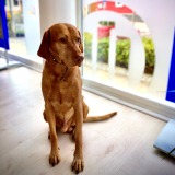 Allianz Versicherung Niels Preen Amt Wachsenburg - Allianz Cody