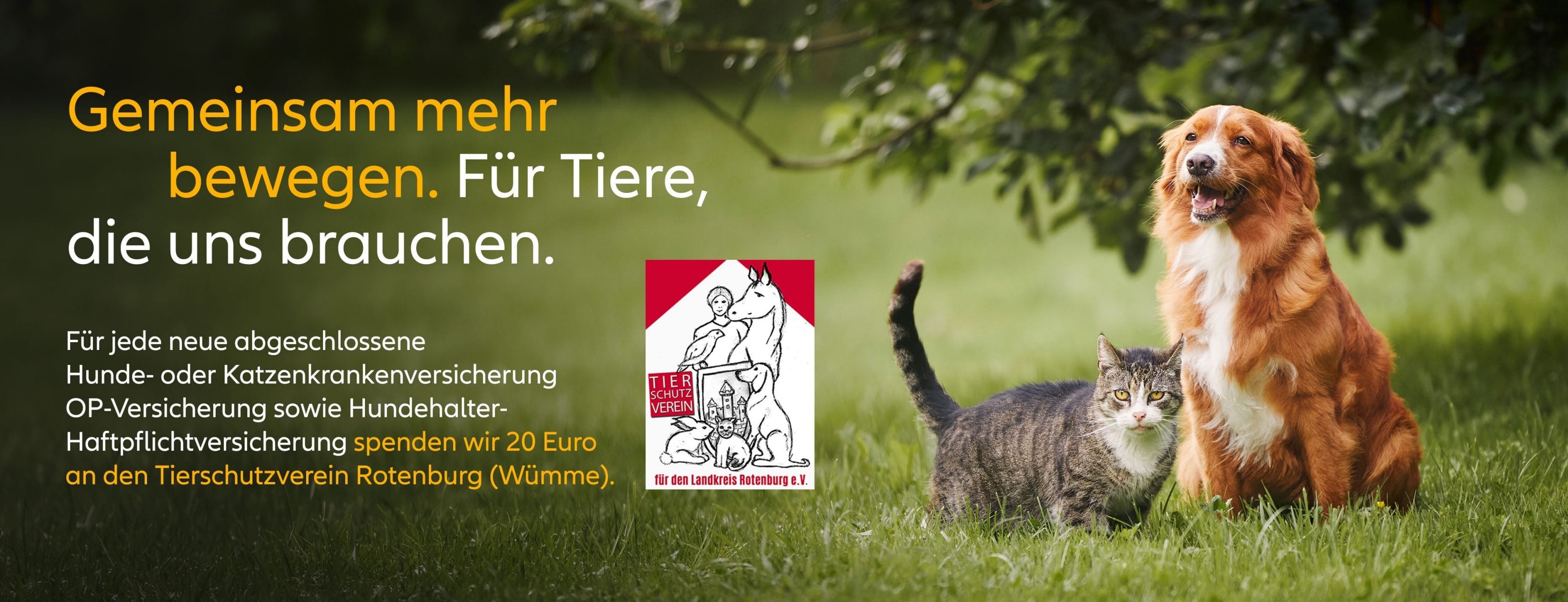 Allianz Versicherung Nils Fränkler Zeven - Tierschutz HUnde-OP-Versicherung Katzen OP-Versicherung Pferde OP-Versicherung Hundekrankenversicherung Hundeversicherung Katzenversicherung Krankenversicherung für Katzen Krankenversicherung für Pferde