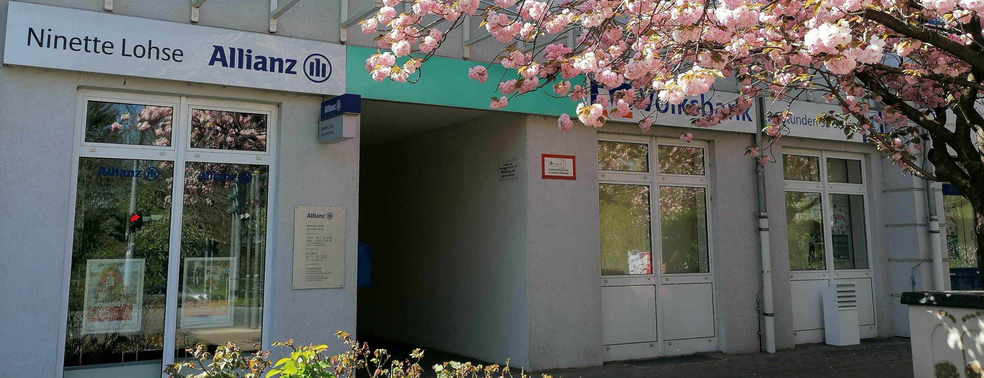 Allianz Versicherung Ninette Lohse Chemnitz - tierkranken berufsunfähigkeit zahnzusatz