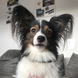 Allianz Versicherung Olaf Titze Nordhausen - Rocky Profilbild