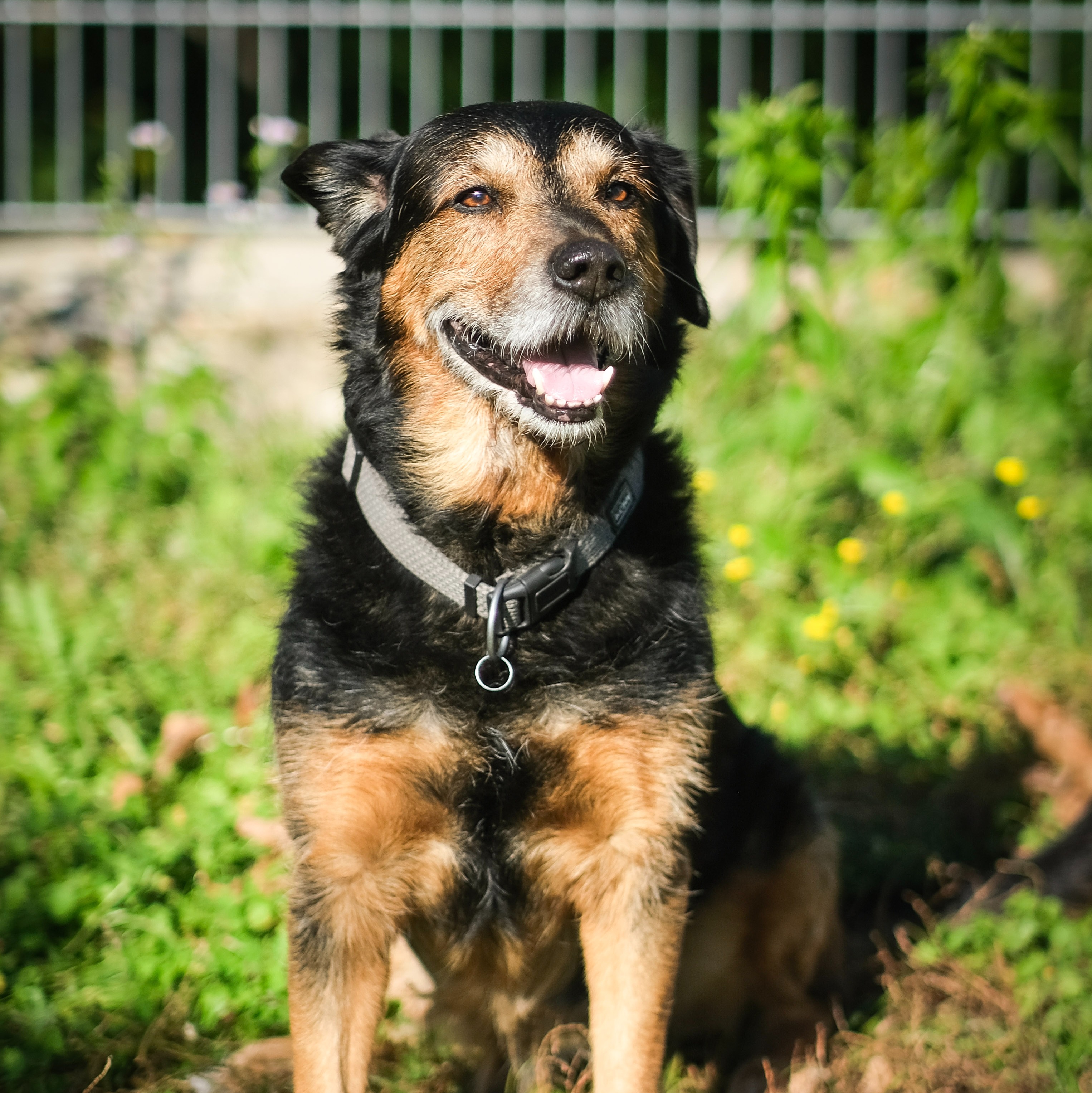 Allianz Versicherung Oliver Asbach Teningen - Herr Otto