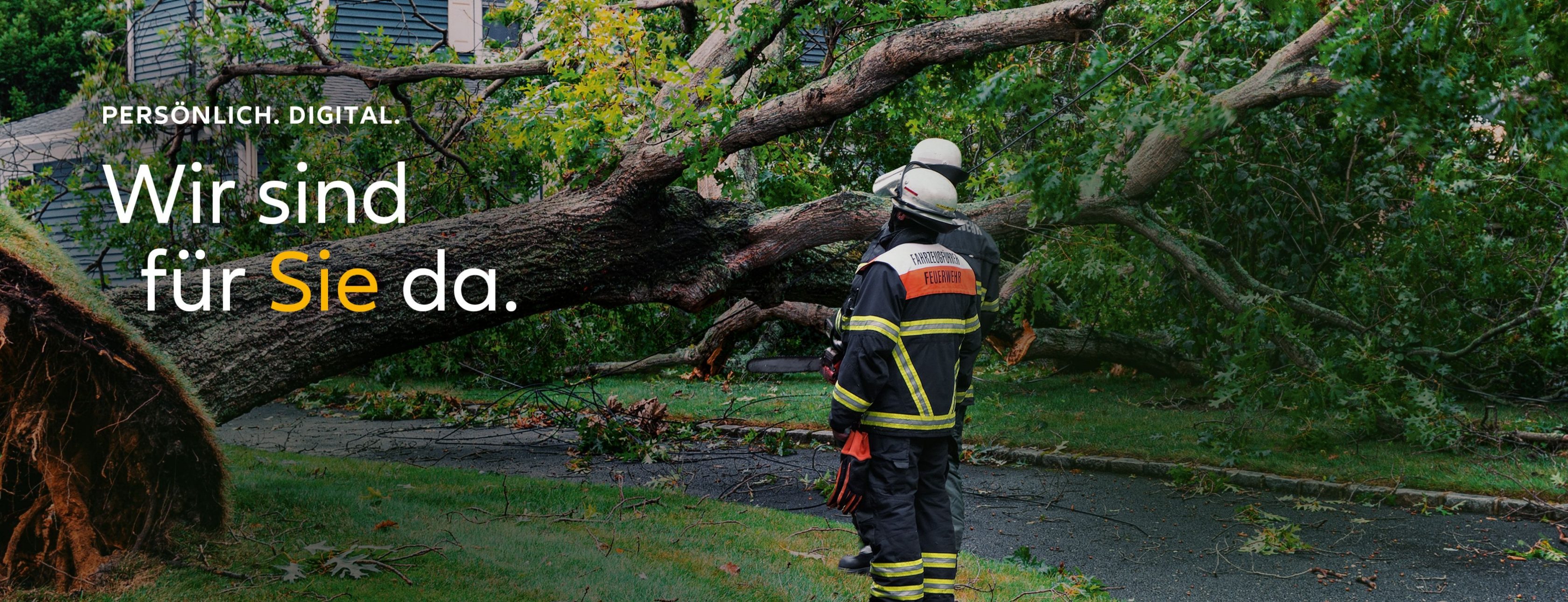 Allianz Versicherung Panser und Heckel OHG Berlin - umgestürzter Baum