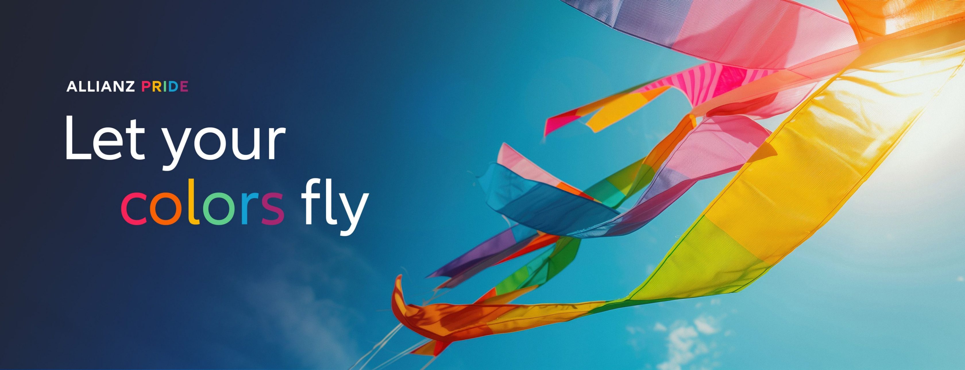 Allianz Versicherung Peter Seelmann Rottendorf - Let your colors fly