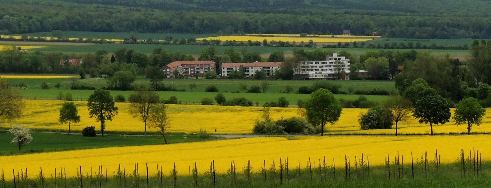 Allianz Versicherung Peter Vergin Springe - privat hausrat versicherung haftpflicht glas sturm