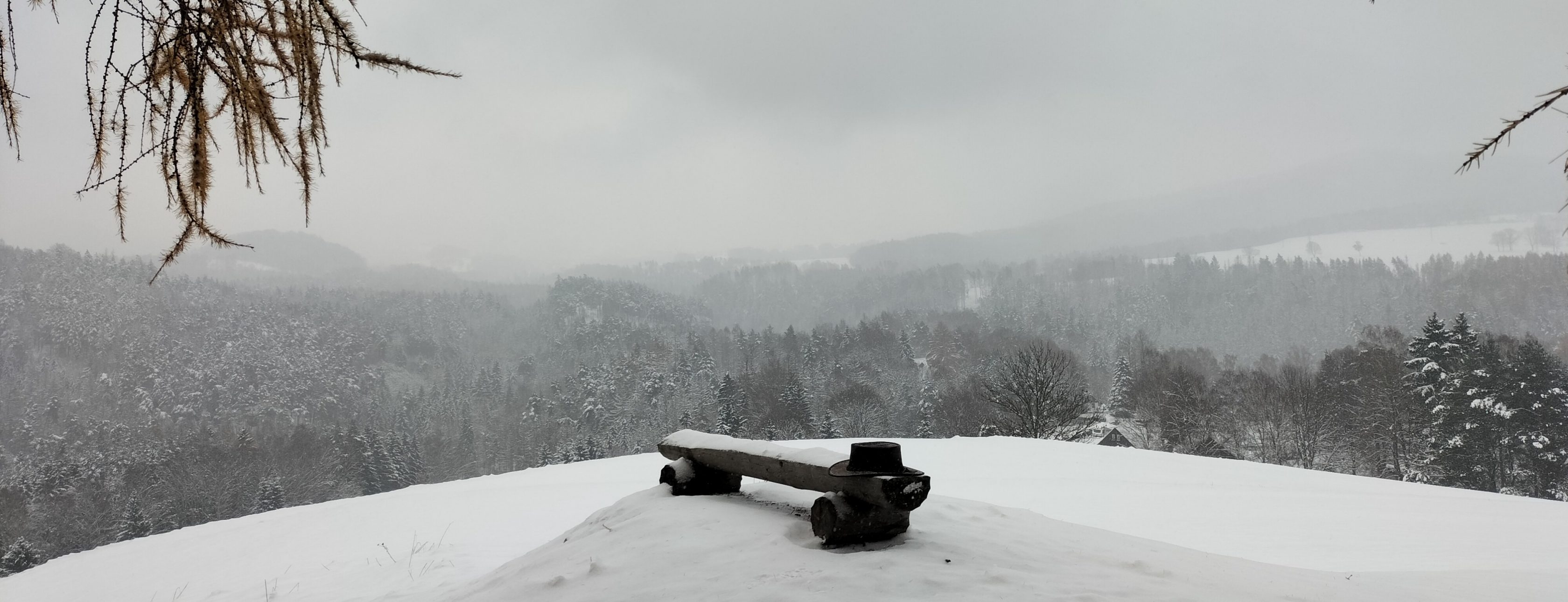 Allianz Versicherung Ralf Heinz Pirna - Ralf Heinz - Ihr verlässlicher Partner in Pirna