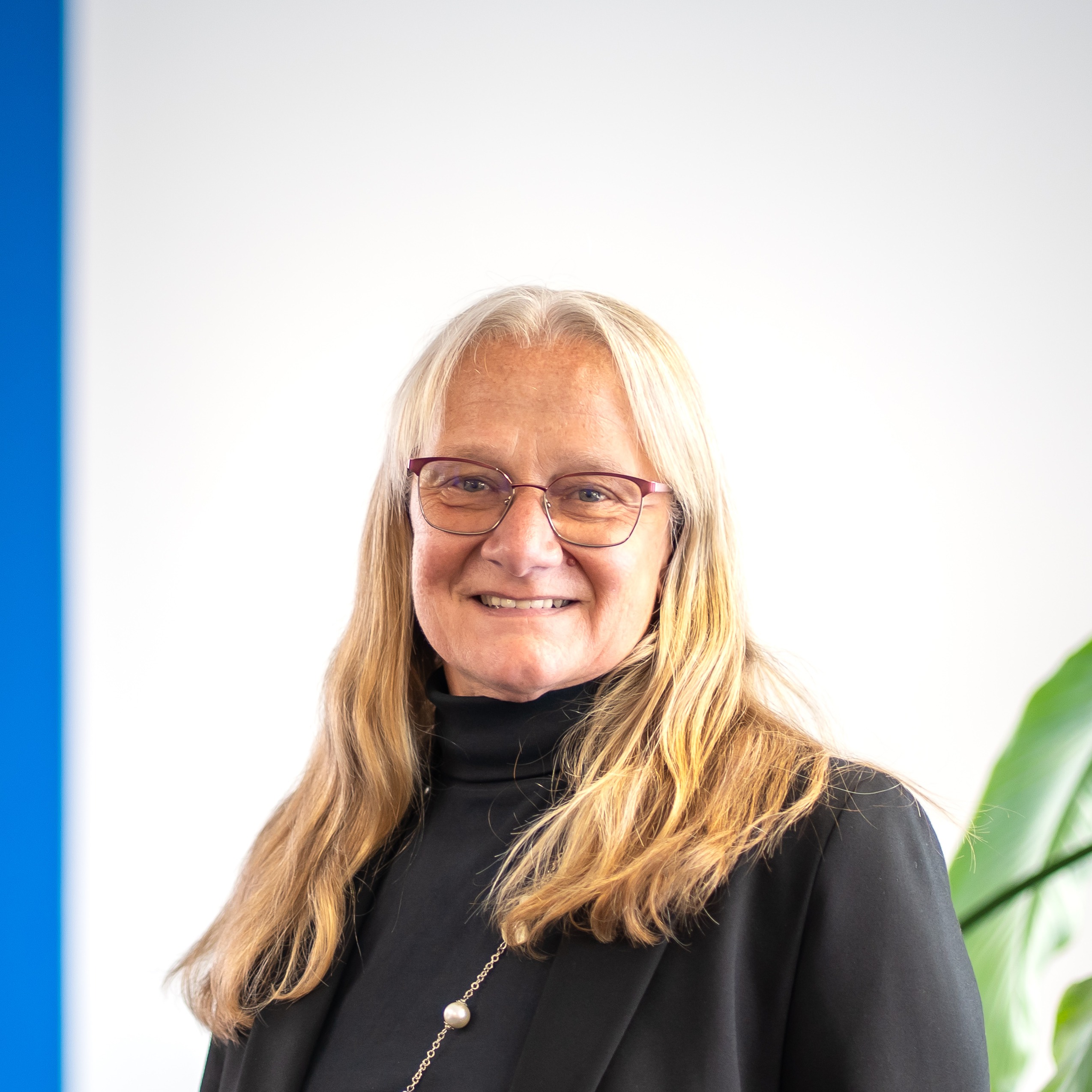 Allianz Versicherung Reimertshofer und Strahberger OHG Günzburg - Birgit Klement, Buchhaltung