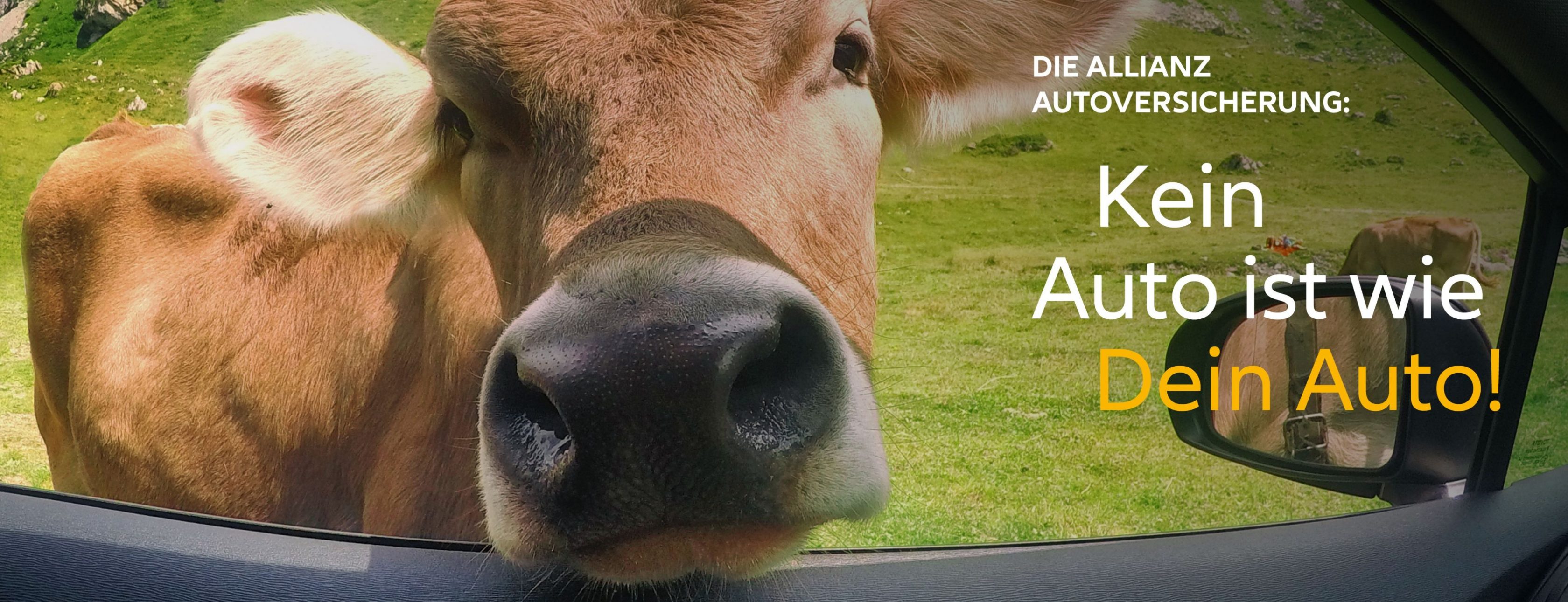 Allianz Versicherung Horst Schneider Inh. Reinhard Wächter Wetter Ruhr - Vorsorge Vermögen Altersvorsorge Kapitalanlage 