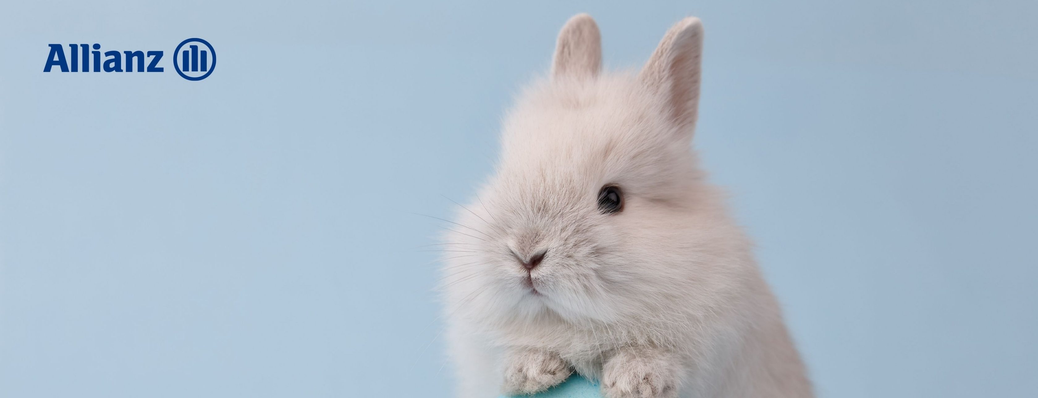 Allianz Versicherung Preißler Inh. Renate Plach e.Kfr. Röhrnbach - Wir beraten Sie gerne !