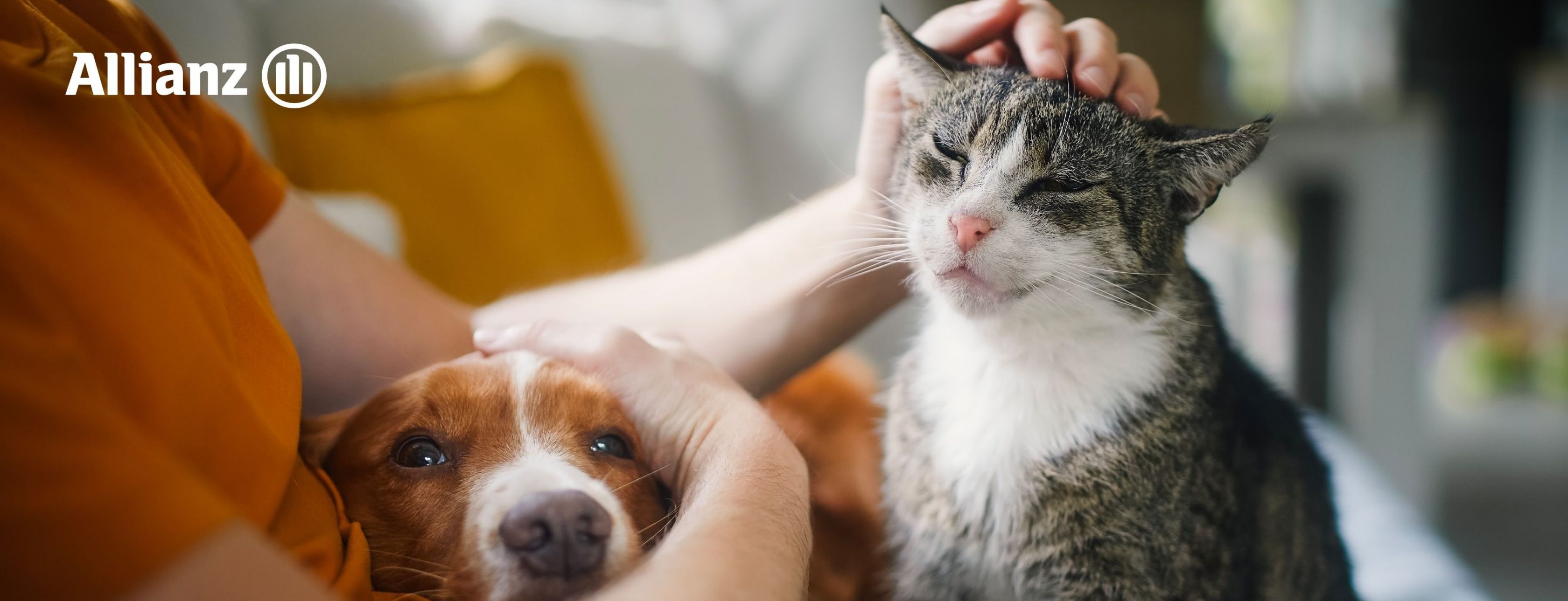 Allianz Versicherung Daniel Rittersbacher Kaiserslautern - Rittersbacher Allianz Vertretung Kaiserslautern