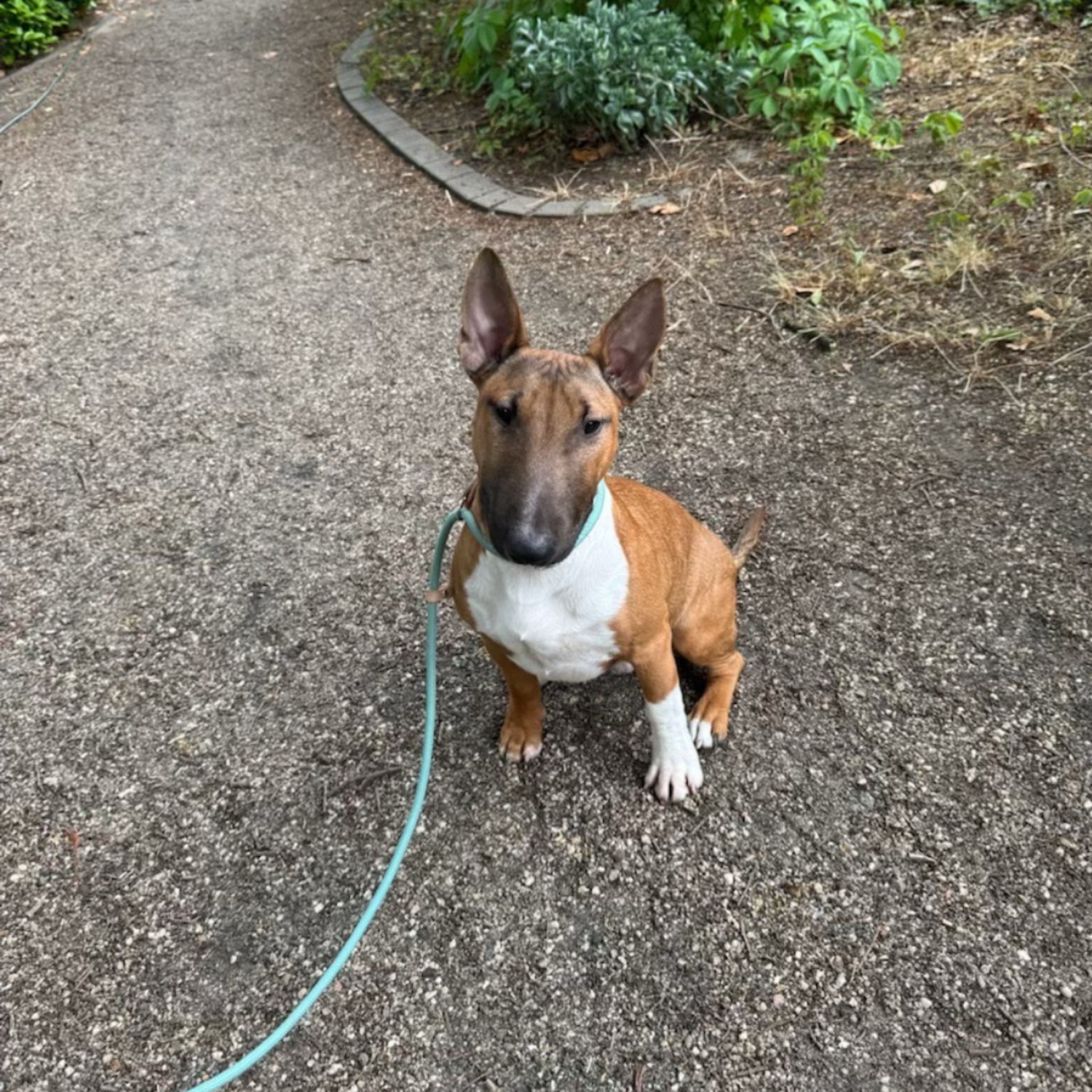 Allianz Versicherung Robert Kanter Cottbus - Büro-Bully Blue