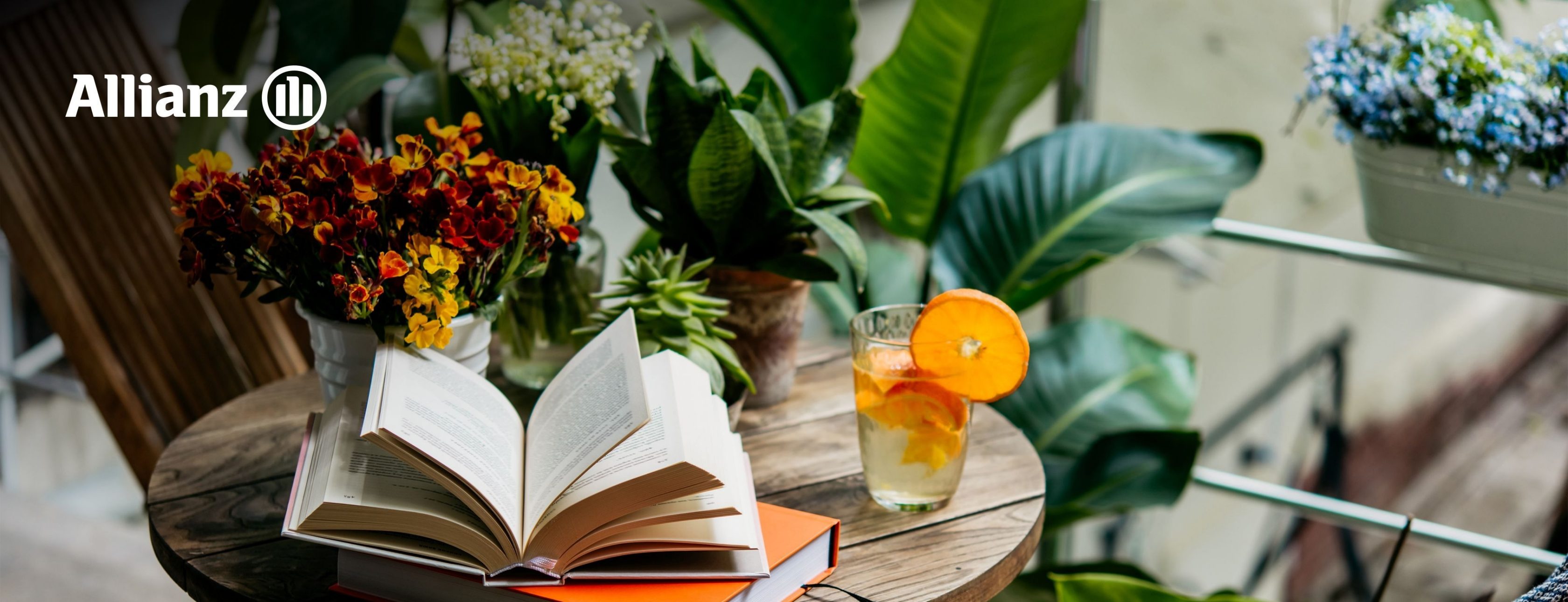 Allianz Versicherung Rüdiger Boenke Bad Elster - Allianz Rüdiger Boenke Absicherungen