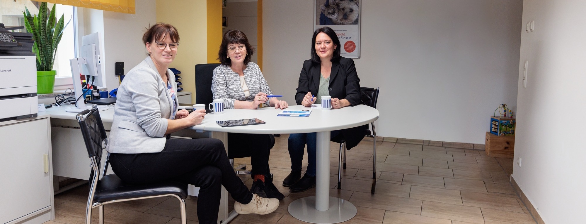 Allianz Versicherung Sabine Schauseil Bad Bibra - Schauseil Allianz Kfz Unfall Bad Bibra Lossa