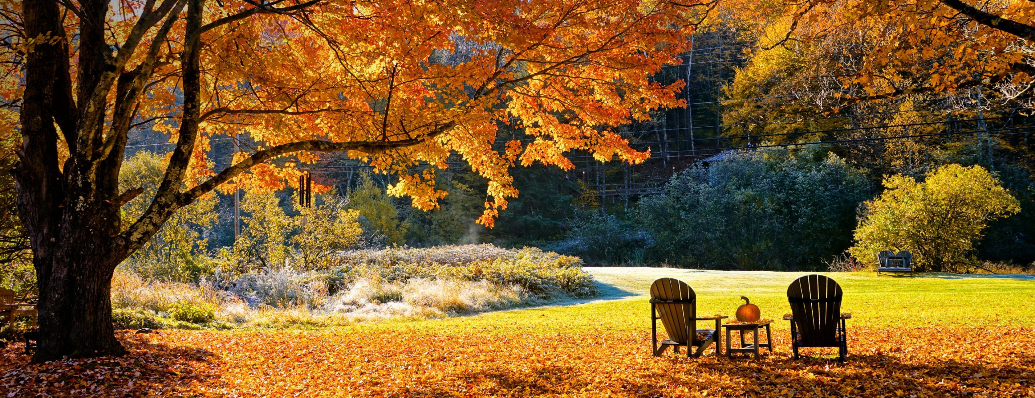 Allianz Versicherung Sabrina Hofmeister Welzow - Herbstlandschaft mit 2 Stühlen und 1 Tisch