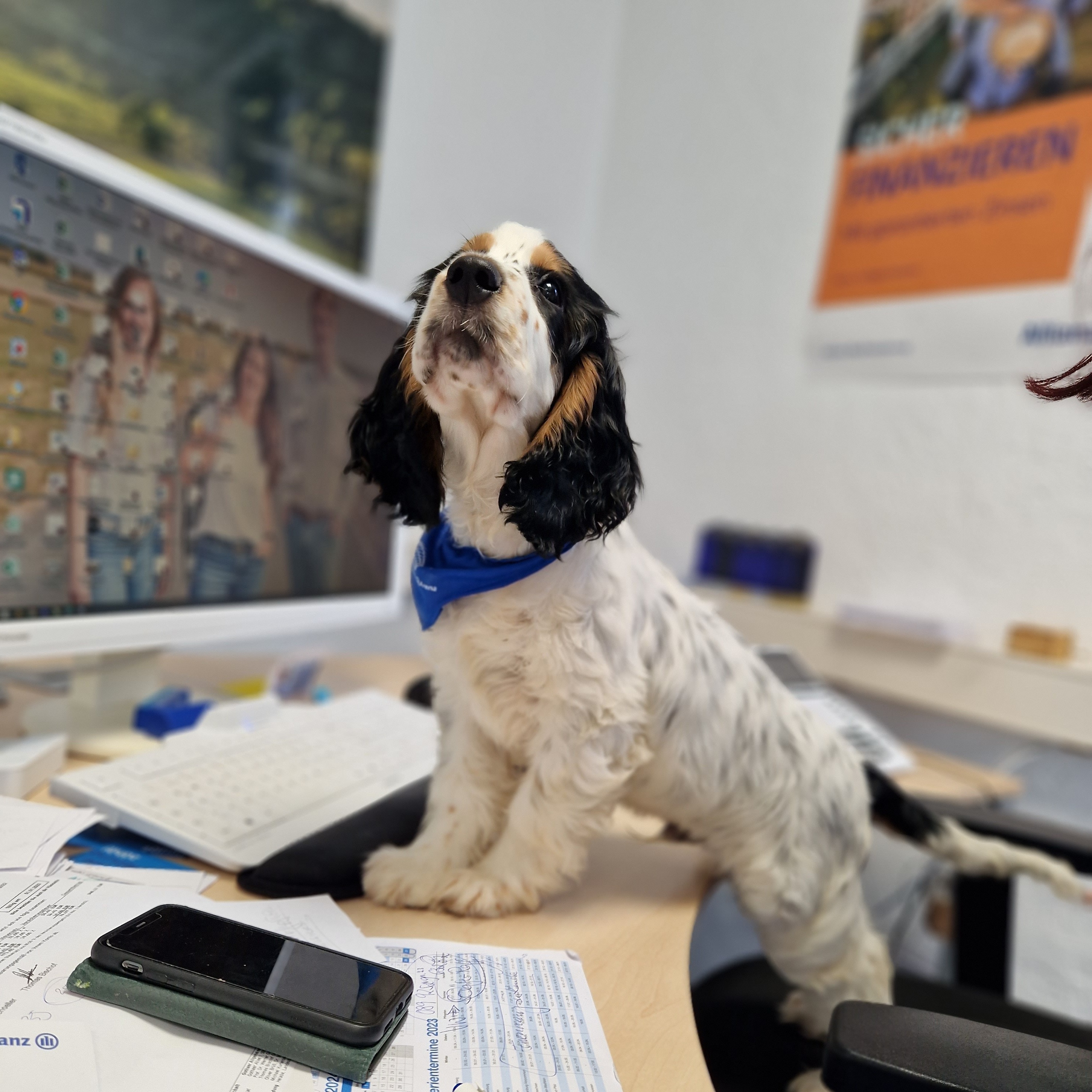Allianz Versicherung Sabrina Wischrath Frielendorf - Pixel Wischrath
