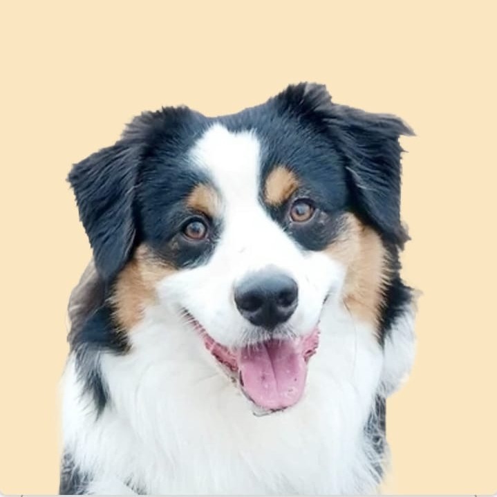 Allianz Versicherung Sarah Spaetgens Wassenberg - Cello Bello