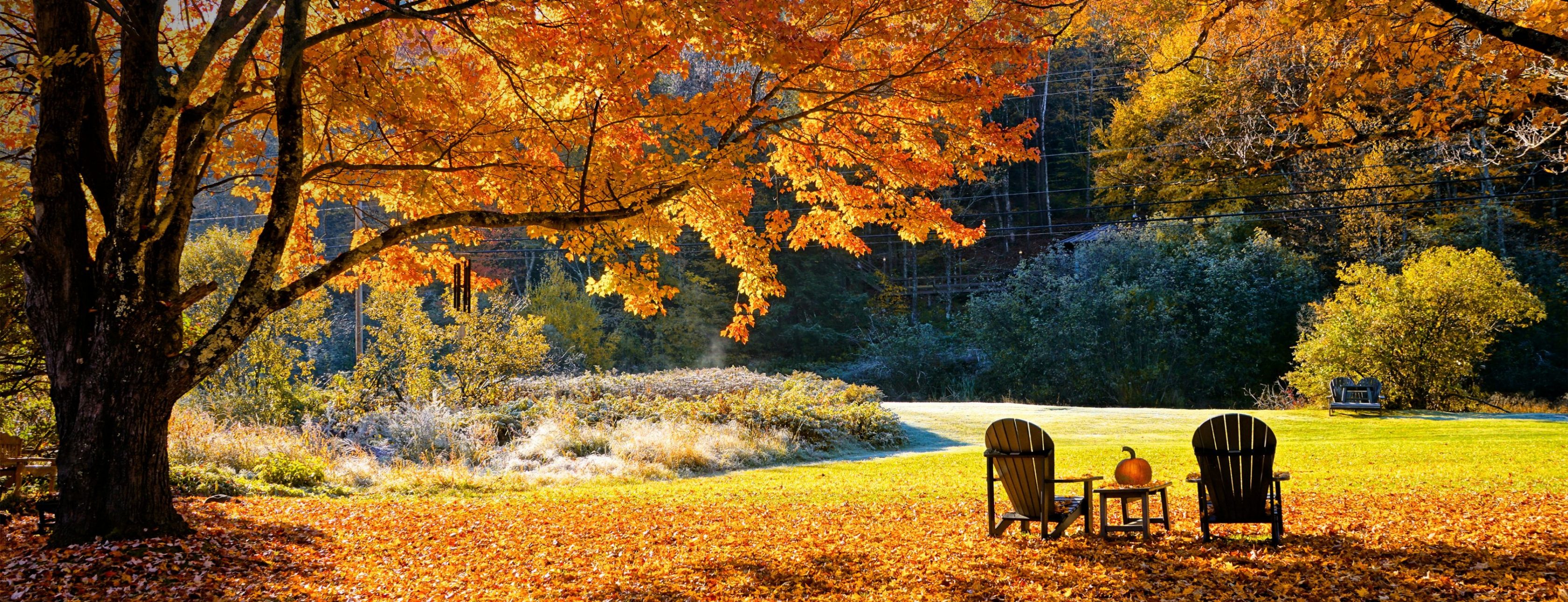 Allianz Versicherung Tobias Schubert Frankfurt Oder - Allianz Versicherung Schubert Herbst 2025