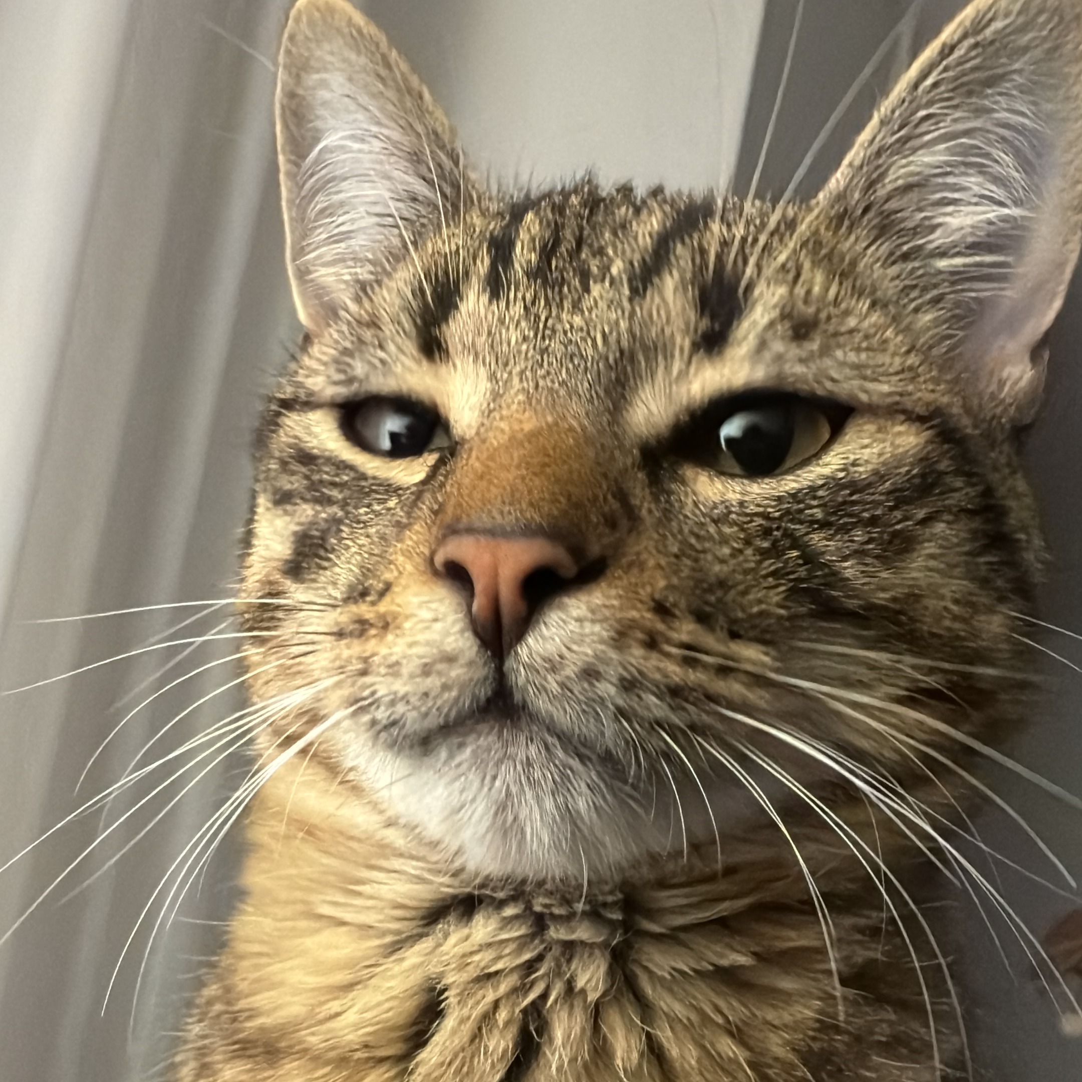 Allianz Versicherung Sebastian Rogge Bonn - General Cosmo