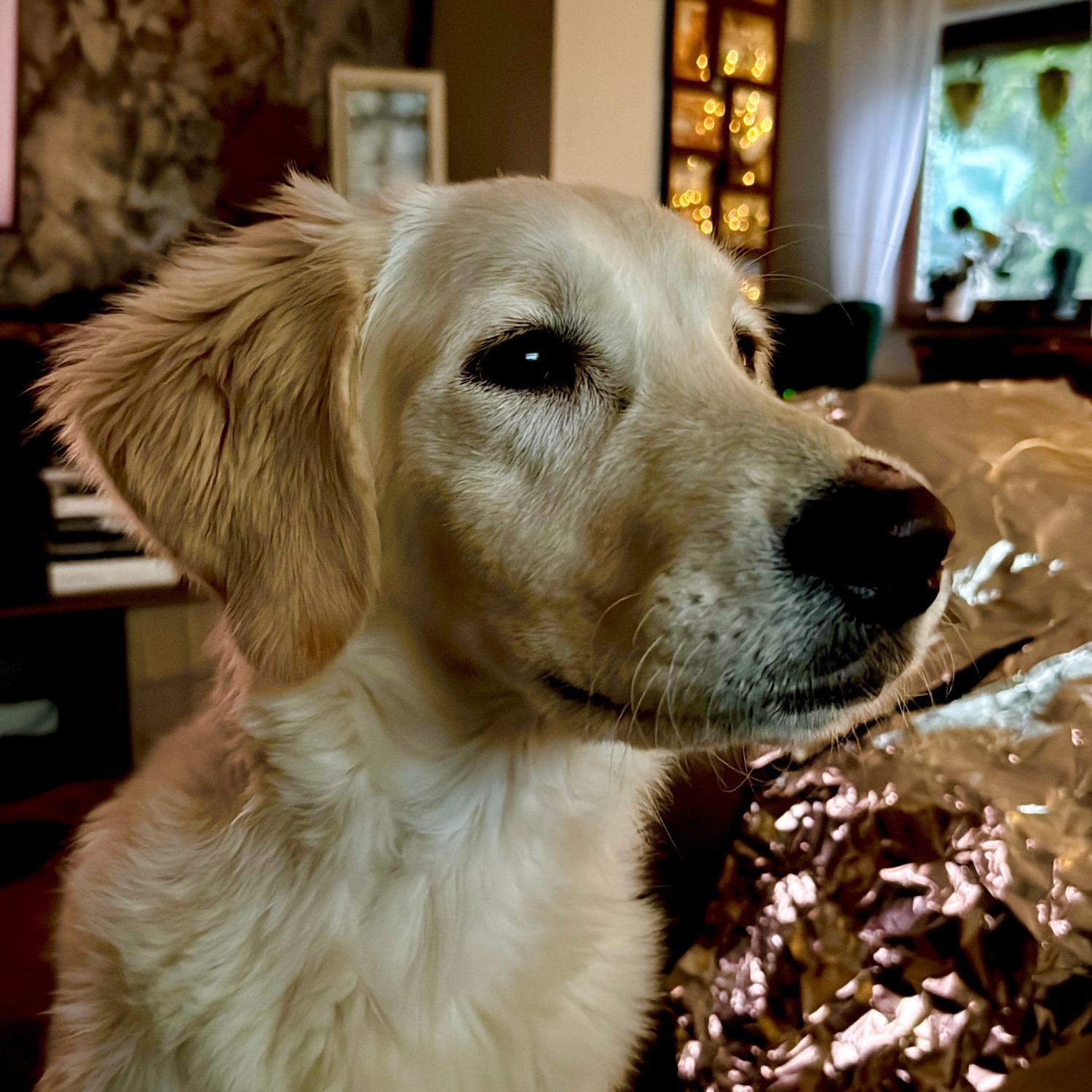 Allianz Versicherung Sebastian Schöbel Sonsbeck - Bella Schöbel