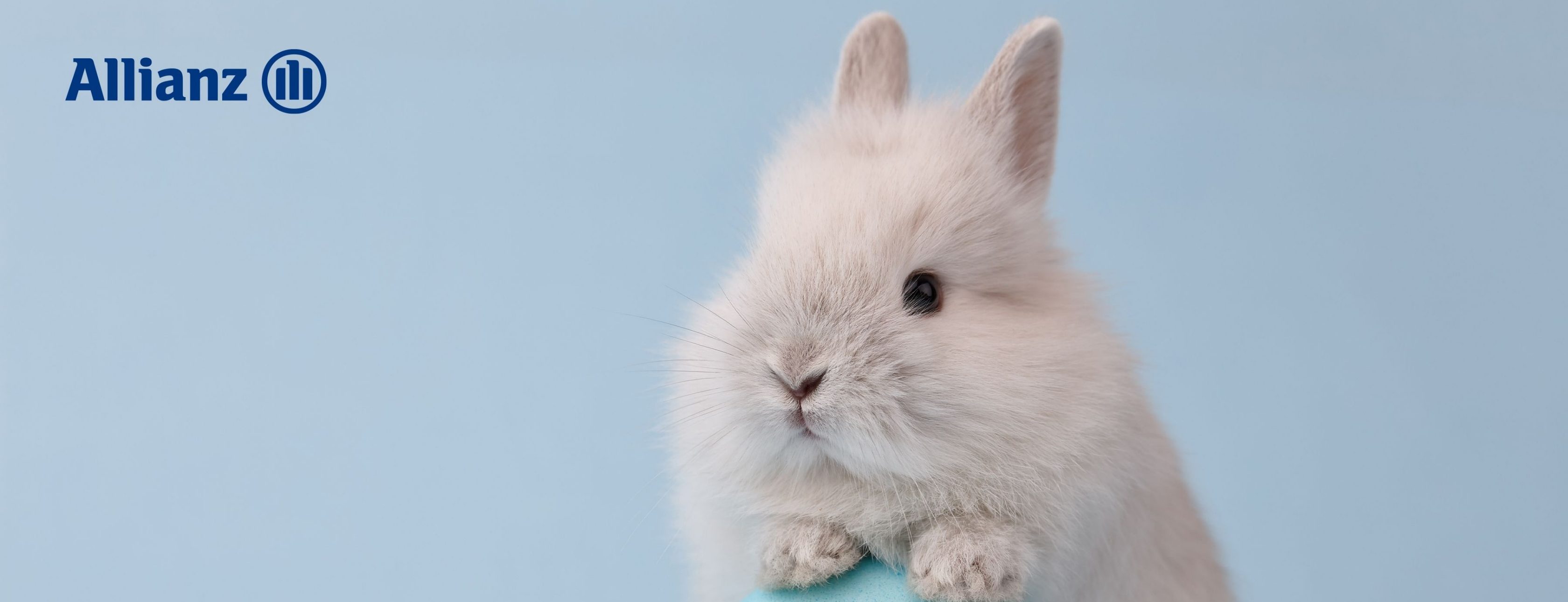 Allianz Versicherung Sebastian Wankelmann Stemwede - Allianz Wankelmann Stemwede 