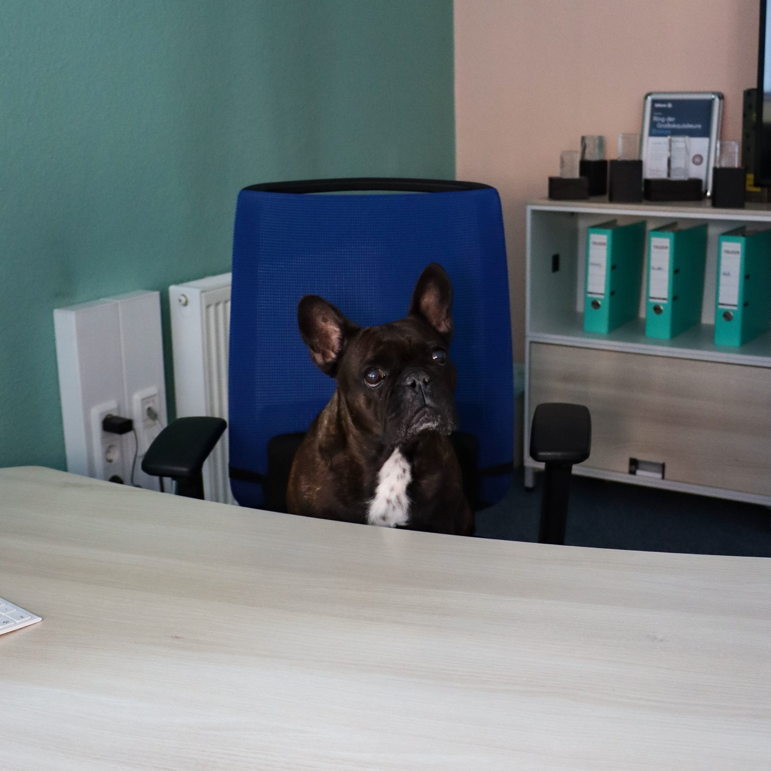 Allianz Versicherung Sensenschmidt GbR Sohland - Bay - ihr entgeht fast nichts