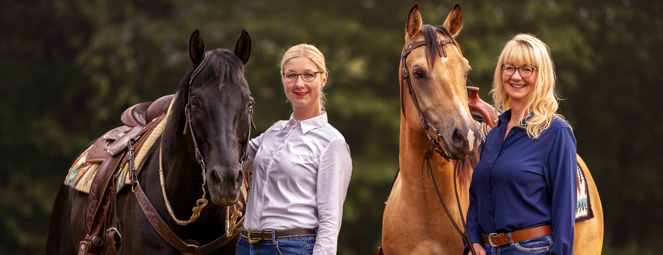 Allianz Versicherung Silke Steitz-Eisermann Meuselwitz - Pferde